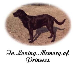 In Loving Memory